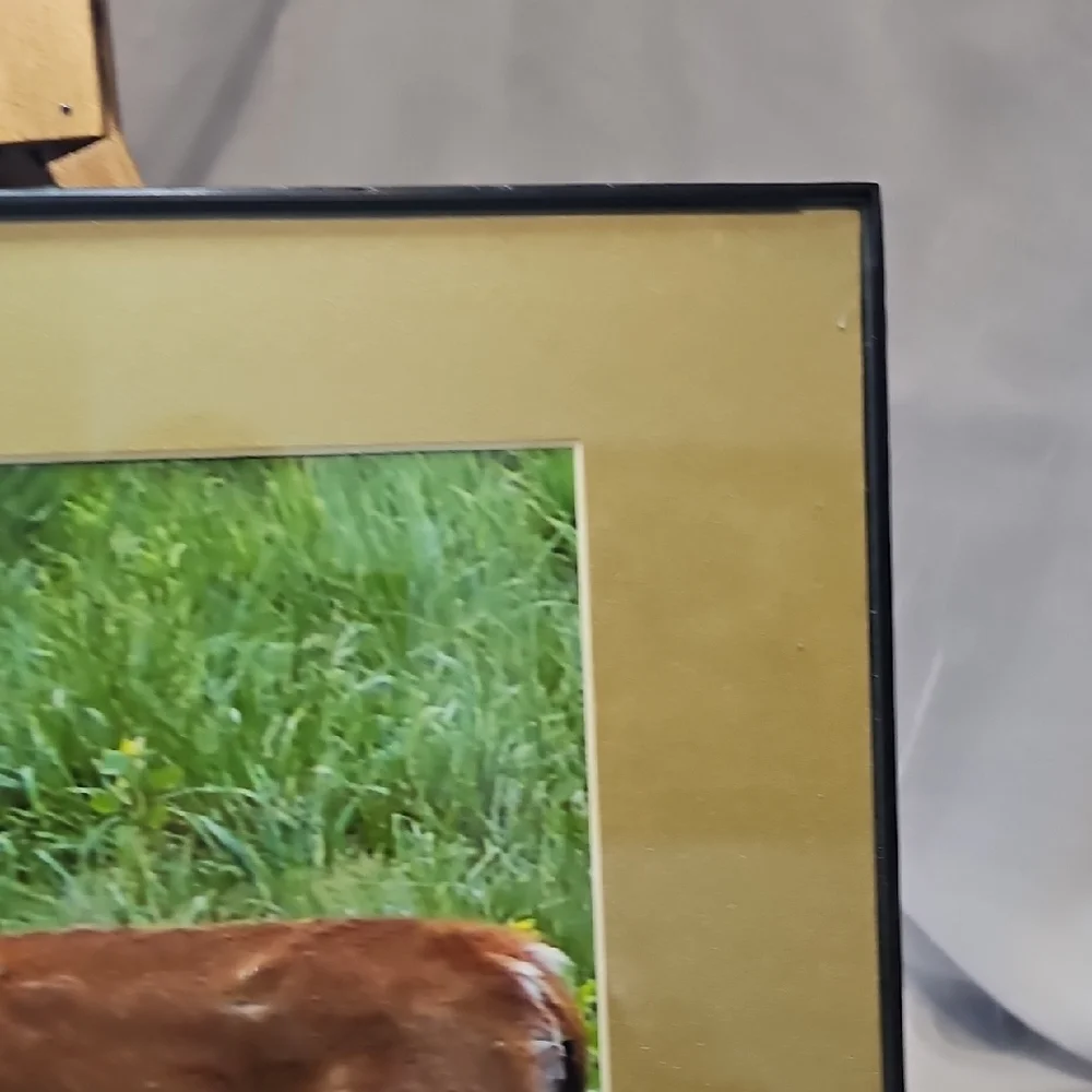 Pair Of Framed Wildlife Art Prints - Deer And Crane.